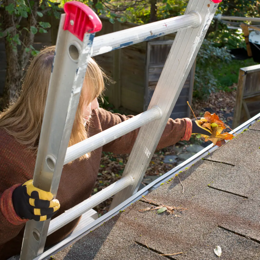 Aluminum & Vinyl — real LF Builders project photo