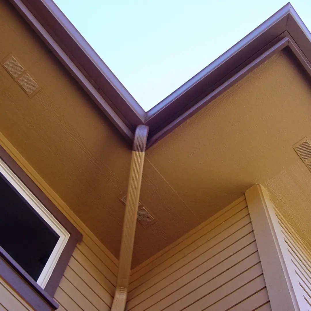 Downspout and gutter detail